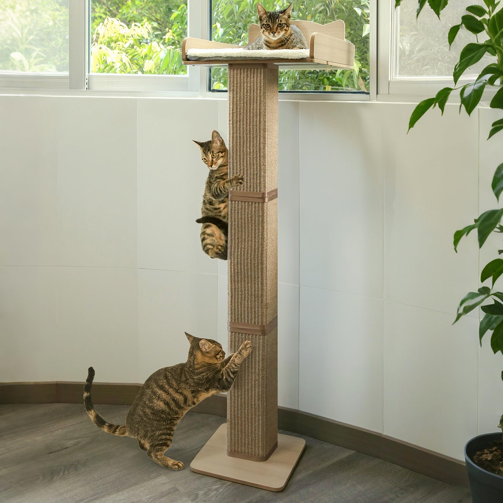 Photo 1 of *DAMAGE, SEE NOTES** Cat Window Perch with Thick Sisal Scratching Post, Cat Hammock for Window, 53.5" Adjustable Tall Cats Scratching Post with 2 Upgrade Suction Cups, Cats Window Bed with Fluffy Cushion, Jute