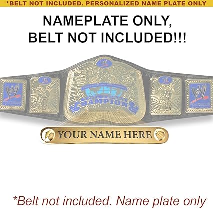 wwe smackdown tag team championship toy belt