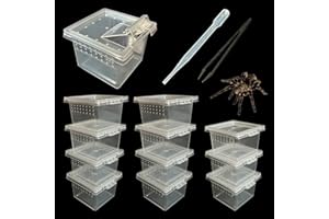 GKPONSX 12Pcs Jumping Spider Enclosure, Plastic Reptile Breeding Box Spider Terrariums with Dropper Tongs for Tarantula Gecko Scorpion Sling Mantis Frog Isopods Invertebrates Insects Hermit Crabs