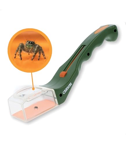 Learning Resources GeoSafari Jr. Bug Viewer – Vaso Per Insetti Con Lente D'Ingrandimento 3x, Dai 4 Anni