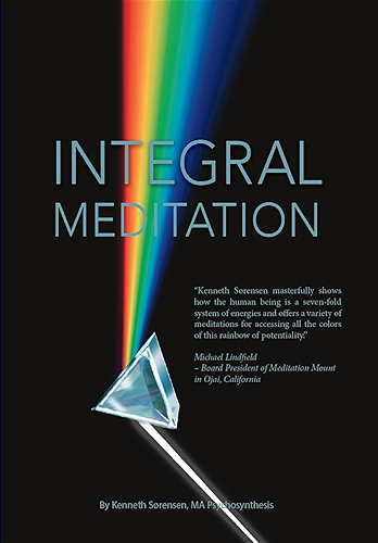 Download Integral Meditation: The Seven Ways to Self-Realisation (English Edition) PDF