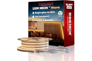 Shine Decor LED Neon Rope Lights AC 120V, Expandable & Cuttable 120LEDs/M Bright Strip Lighting, ETL Cold-Resistant & IP65 Waterproof for Indoor Outdoor, 8x16mm, 2500K Warm White, 32.8ft