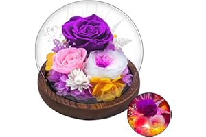 DIGI4U Valentines Day Gifts for Her, Real Rose Flowers Bouquet in Glass Dome with Light, Birthday Gifts for Women Wife Grandma Nana Mothers Day Anniversary, Mom Gifts from Daughter Son