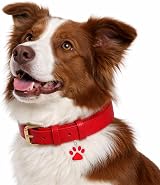 LARRYROO Personalised Engraved Pet Tag Paw Shape Glitter 27mm Yellow view 5