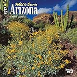 Arizona, Wild & Scenic 2017 Mini 7x7 (Multilingual Edition) by 