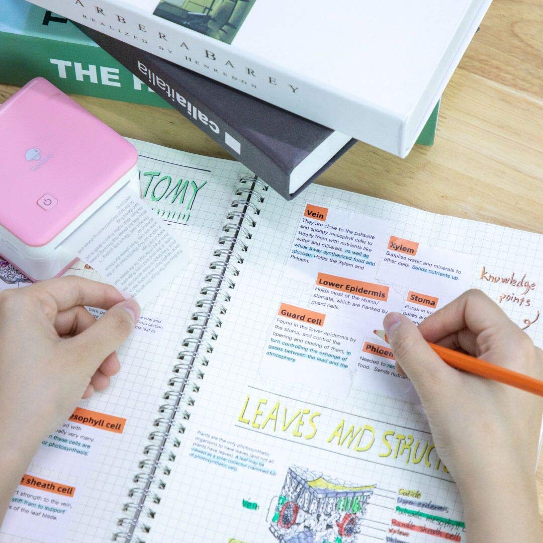 Compatible With Phone Tablet Bullet J Pink Phomemo M02pro Photo Printer Mini Thermal Printer Pocket Bluetooth Printer 300dpi Printer With 1 Paper Roll And Paper Holder Diy Painting For Business