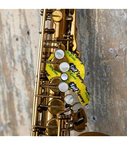 Amazon.com: Theo Wanne Pressure 4 Plate Set for Saxophone