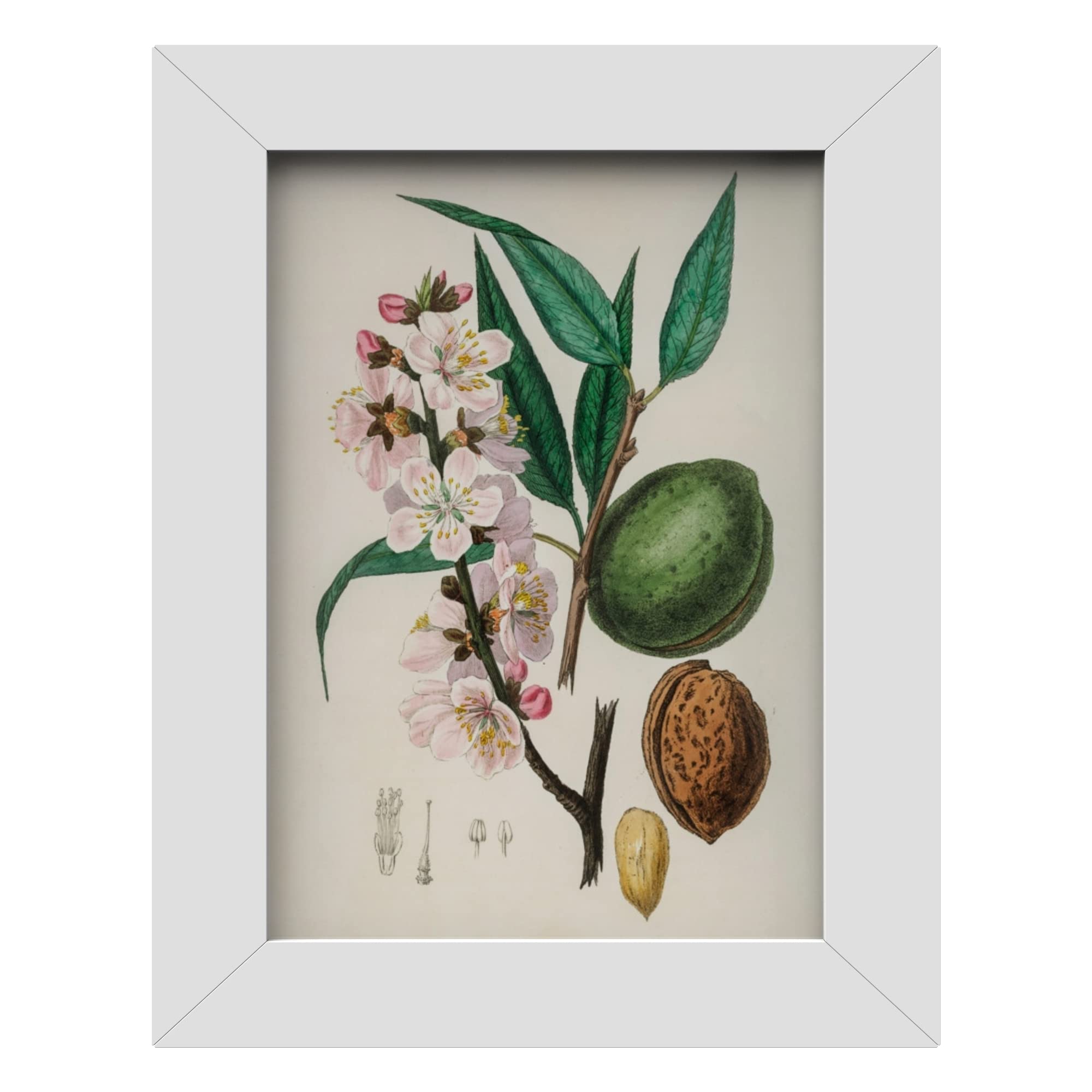 MH Traders White A4 Picture Frame - Wall Mounted Photo Frame for Pictures Posters & Certificates - 30 x 21 CM A4 Size Compact Picture Frames — image 1