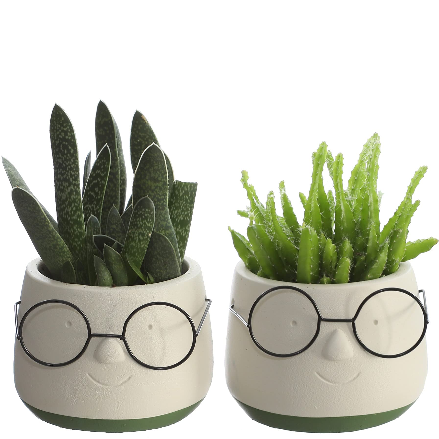 comforder Flower Pot Face Head Set of 2 - Funny Decorative Plant Pots for Flowers, Succulents, Cacti - Ceramic Plant Pots as Home Decoration for Shelf & Window Sill - 6.5 cm Inner Diameter