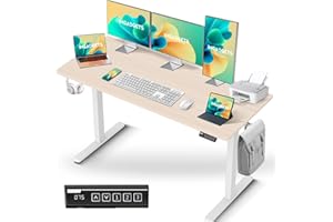 IMGadgets Electric Standing Desk, 55x24 Inches Height Adjustable, 2026 6th Gen Quieter Motor Ergonomic Sit Stand Desk, Comput