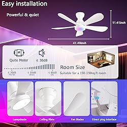 NKPU 42 Inch Ceiling Fans with Lights and
