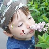 Yangsiw 8 Sheets Spider Friends Temporary Tattoos Party Supplies Favors view 5