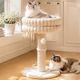 CHEERPALS Cat Scratching Post with Bed for Indoor Cats Cloud Cat Tree | Sisal Cat Scratcher Tower, Scratching Post with Perch, Elevated Tall Cat Bed, Removable Cover, Stable Structure, Home Decor