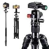 MACTREM 2019 Camera Tripod - 62" Lightweight Travel