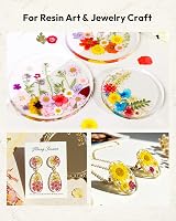 Resiners 100 Pcs Dried Flowers for Resin Crafts Preserved Real Flowers Kit view 2