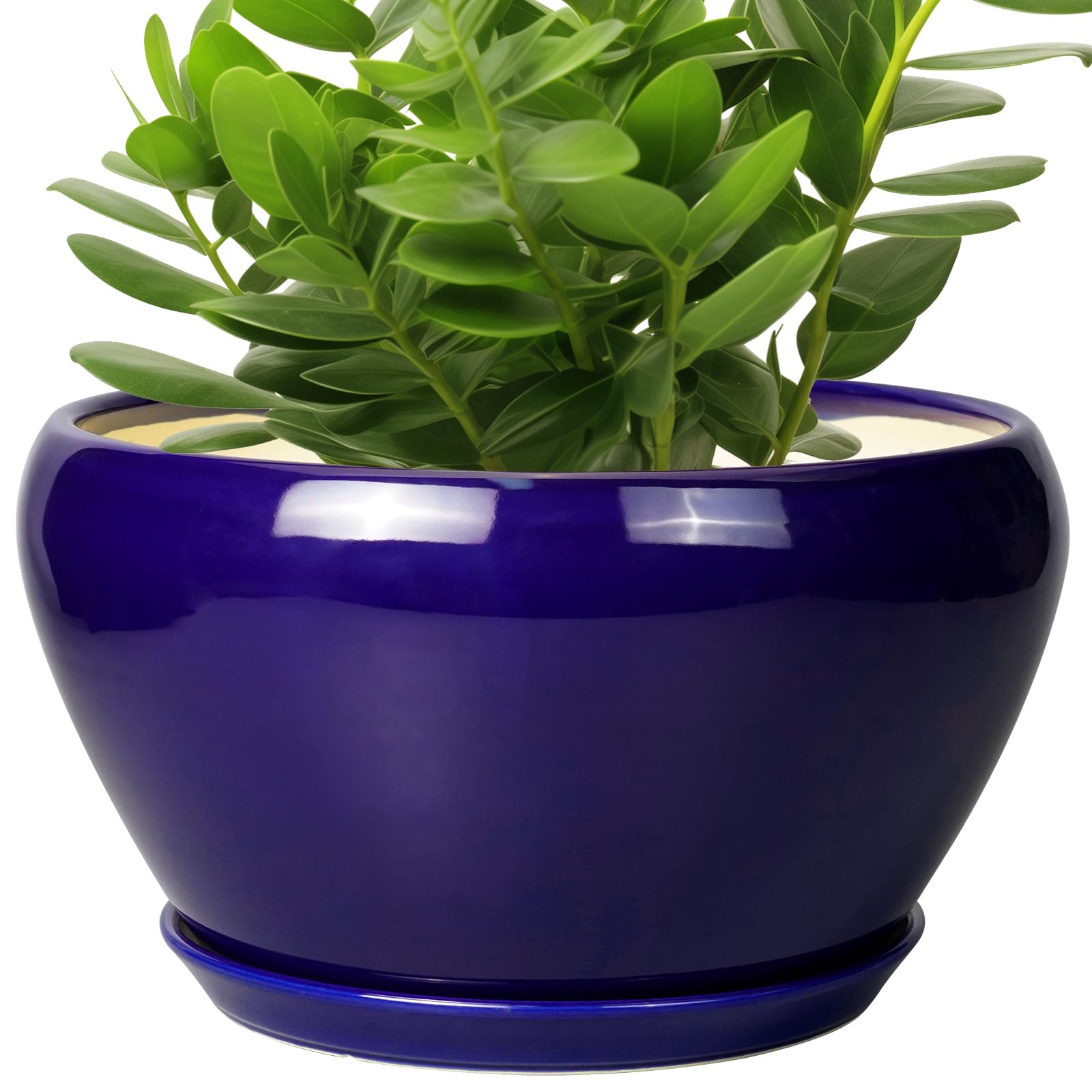 Ceramicfor Ceramic Pot for Plants - 11 Inch Modern Round Indoor Planter with Drainage Hole and Planter Saucer for Flowers, Patio Office Home Room Decor, Gardening Gifts for Women & Men, Blue Image