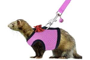 Rypet Small Animal Harness and Leash - Soft Mesh Pet Harness with Safe Bell, No Pull Comfort Padded Vest for Small Pet Pink