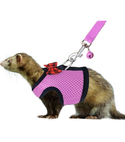 Cozy Ferret Sweater With Hood – Warm Winter Pullover For Small Pets (Ferrets, Rabbits, Chinchillas, Cats)