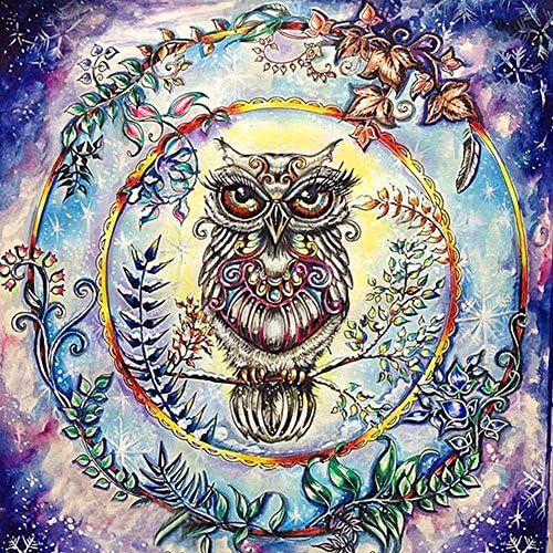 Partial Round Drill 5D Diamond Painting Kit Rhinestone Cross Stitch by Number Kits Craft Canvas Diamond Picture for Home Wall Decoration 12”x12”,Owl