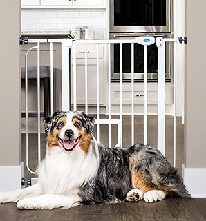 50 inch pet gate