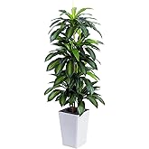 Artificial Dracaena Tree with White Tall Planter, 5ft Tall Potted Artificial Dracaena Silk Plant, Fake Yucca Tree Plant, Home Office Floor Room Decor Plants Indoor Outdoor, Housewarming Gift