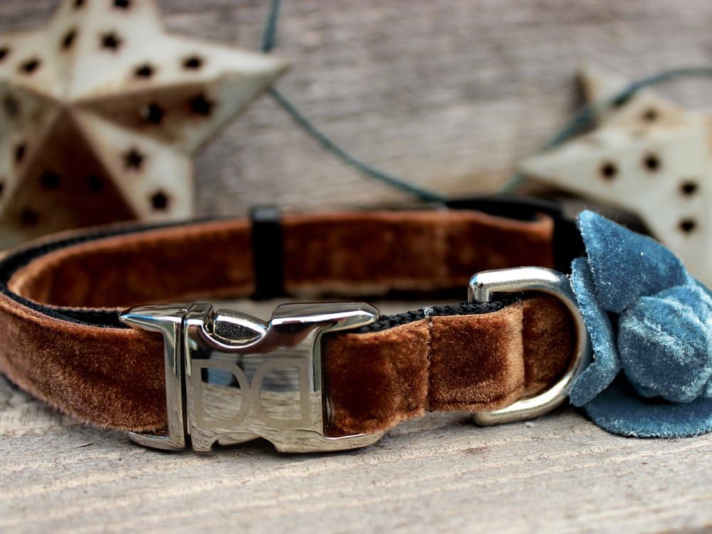 blue velvet dog collar