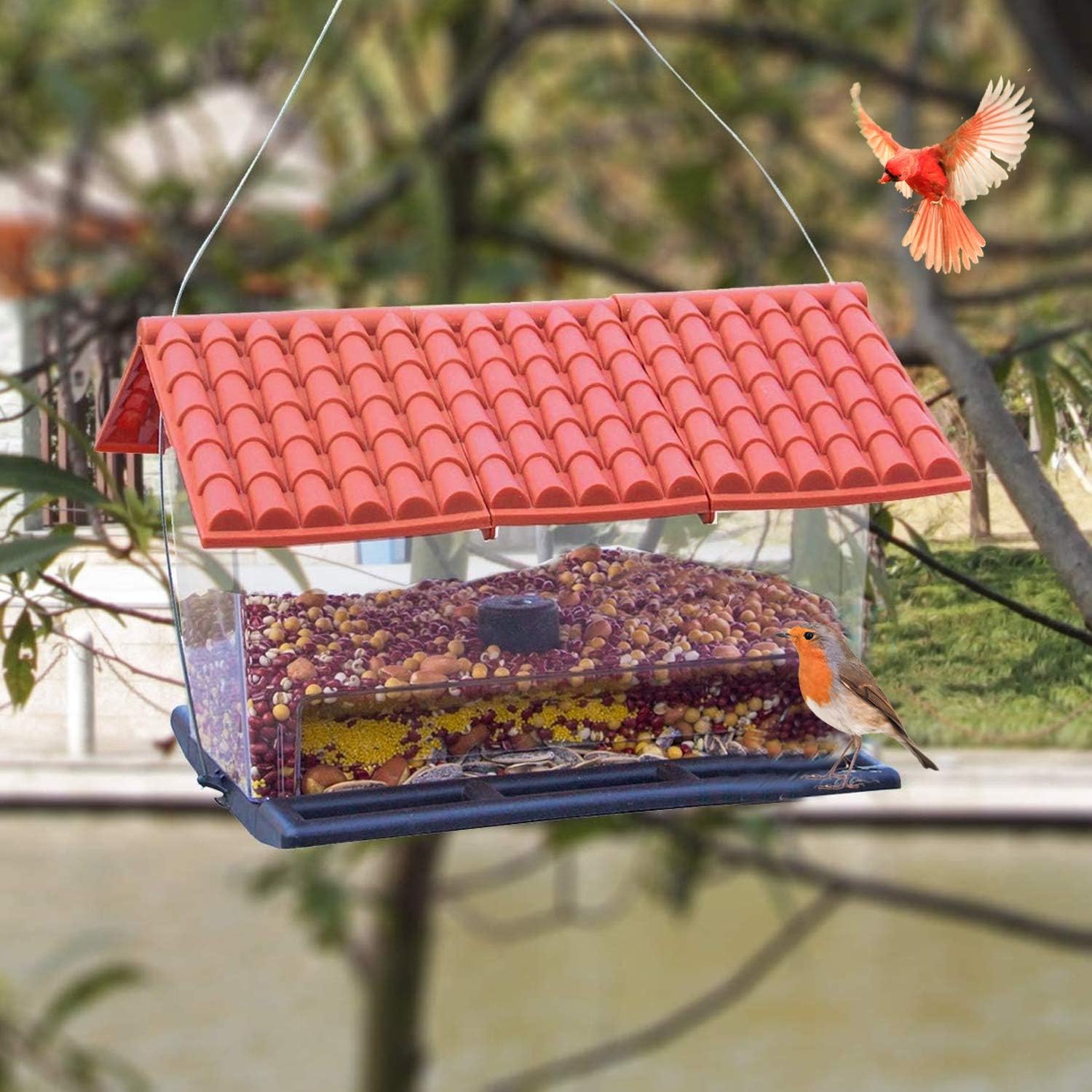 FUNPENY Hanging Wild Bird Feeder, Red Roof Panorama House Bird Feeders and Garden Decoration for Bird Watchers and Children : Garden & Outdoor