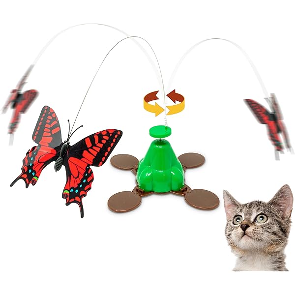 petstages butterfly chase