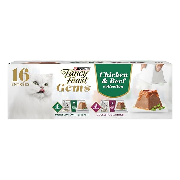 FANCY FEAST GEMS PATE CAT FOOD MOUSSE CHICKEN OR BEEF AND A HALO OF SAVORY GRAVY WET CAT FOOD VARIETY PACK – (1) 8 CT. BOXES – 8 CT. BOX
