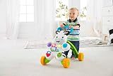 Fisher-Price Learn with Me Zebra Walker Spanish Version GXC34 view 2