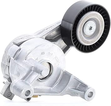 Ina 534 0059 10 Correas de Distribución