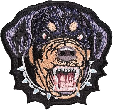 rottweiler with spiked collar