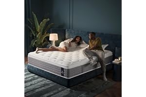 DCOOLAULTRA Queen Size Mattress 14 Inch, Medium Plush Hybrid with Memory Foam& Individually Wrapped Pocket Coils for Support,CertiPUR-US Certified,Fiberglass-Free