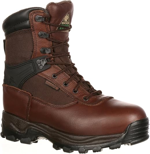 rebel safety shoes price
