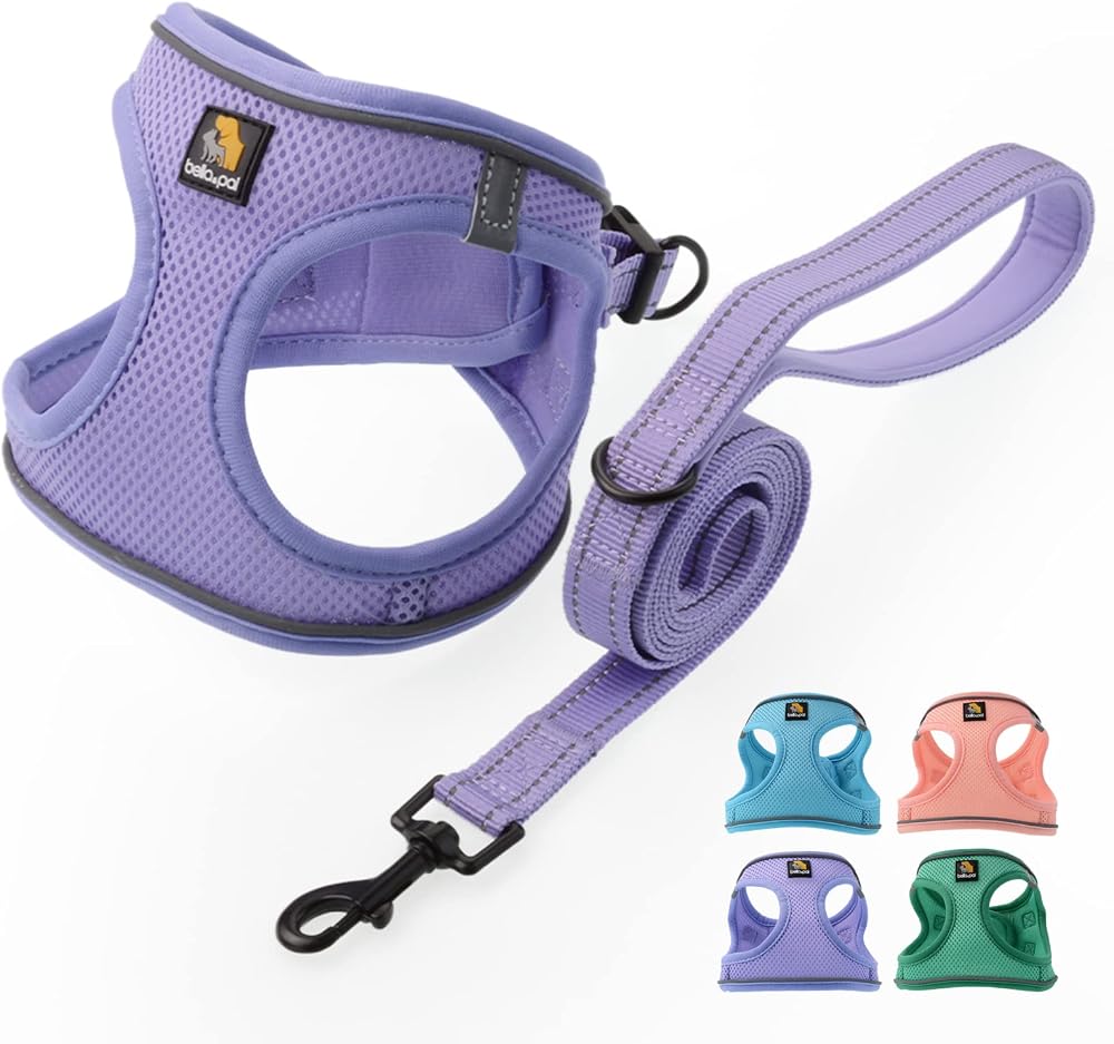 BELLA & PAL Dog Harness Leash Set XXS Purple Step-In Reflective Air Mesh