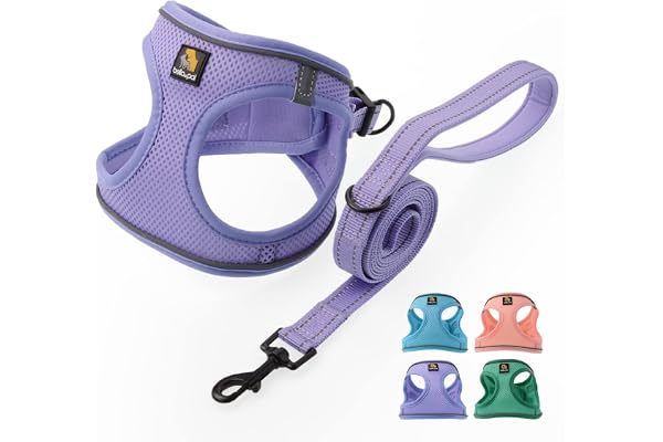 BELLA & PAL Puppy Harness with Leash Set, Dog Harness for Small Dogs No Pull, Dog Leash for Puupy, Step in Harness for Extra