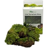 BIODUDE Live Terrarium Moss - Natural Pillow Moss | Natural Pillow Moss