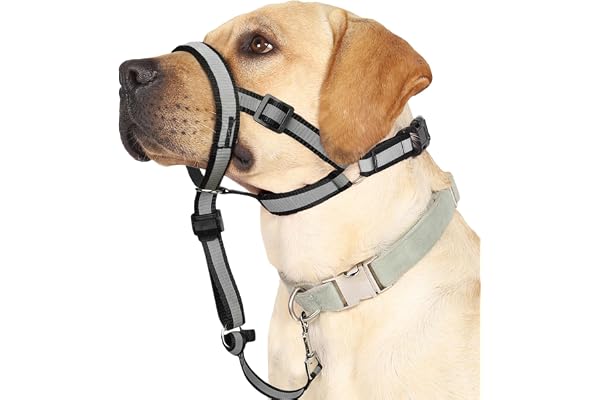 BARKLESS Reflective Head Collar, No Pull Collar for Small Medium Dogs | Anti-Pull Muzzle Leash for Puppy, Adjustable Soft Dog