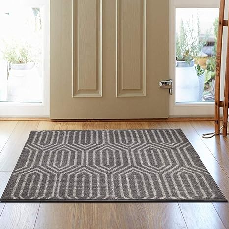 Front Door Mat Non Slip Super Absorbent 