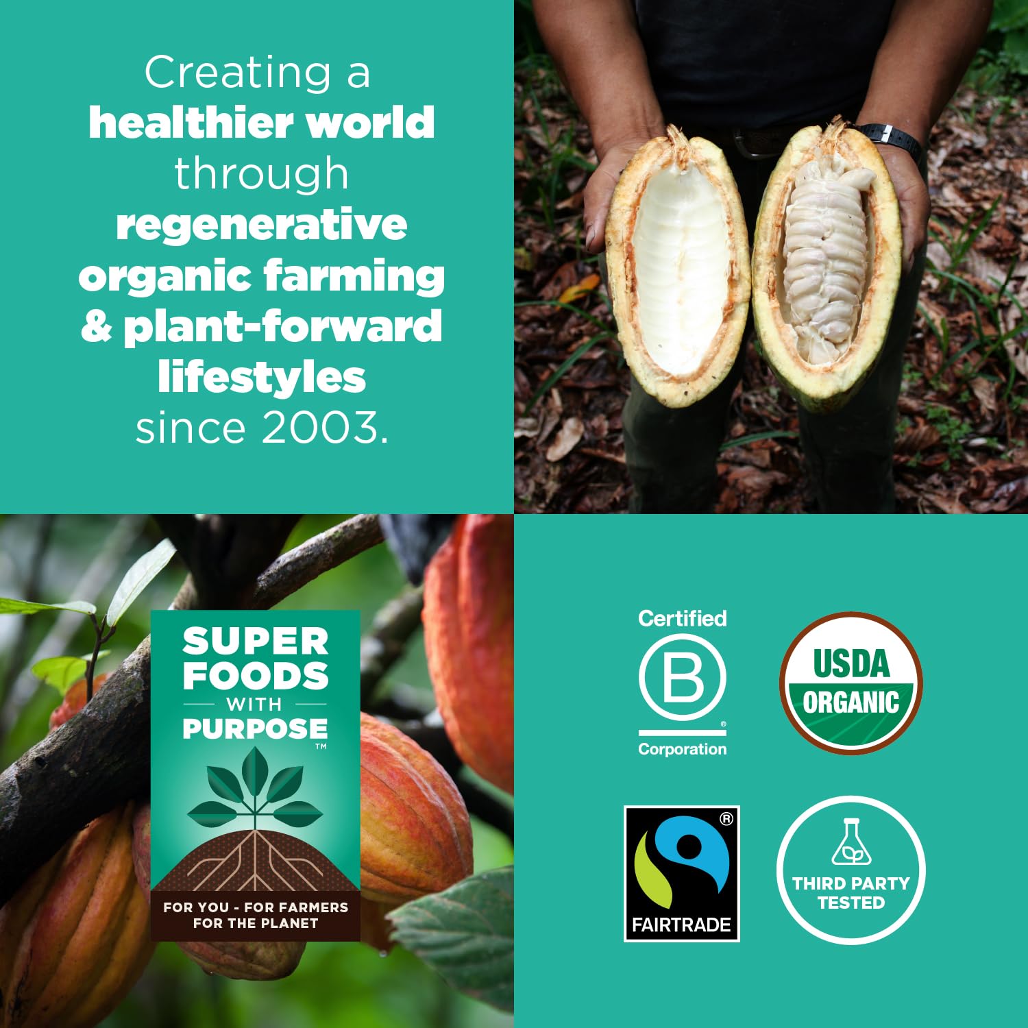 Navitas Organics Cacao Nibs – Unsweetened Dark Chocolate Crunch – Antioxidants, Minerals, Fiber – For Trail Mix, Baking & More – USDA Organic, Fairtrade, Non GMO, Gluten Free, Non-alkalized (16oz. Bag 151 Servings)