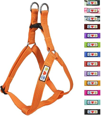 Terres Deden Harnais Petit Chienharnet Arnais Réglable Pour Chiens De Petite Taille Idéal Yorkshirecarlinbouledogue Françaisteckeljack