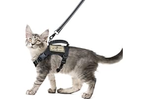 SALFSE Tactical Cat Harness and Leash Set for Walking Escape Proof, Adjustable Large Cat Vest Harness with Molle Patches, Soft Mesh Padding, Rubber Handle Easy to Control Black