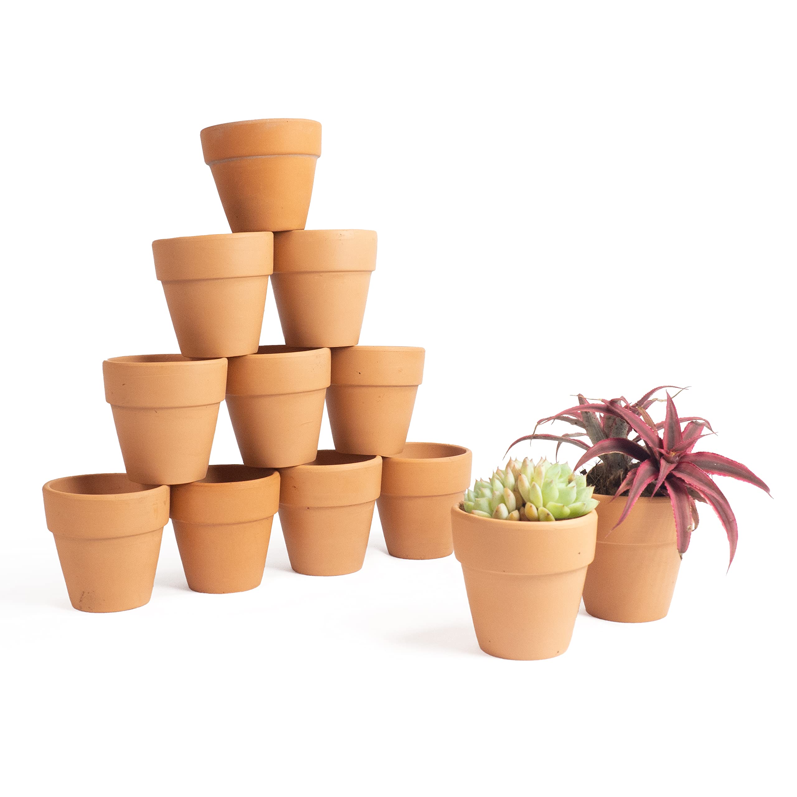 Greenology 6.5cm Pack of 12 Small Permeable Terracotta Pots for Succulent Cactus Plant Nursery Pottery Planter DIY Craft Home Office Desktop Windowsill Ornament