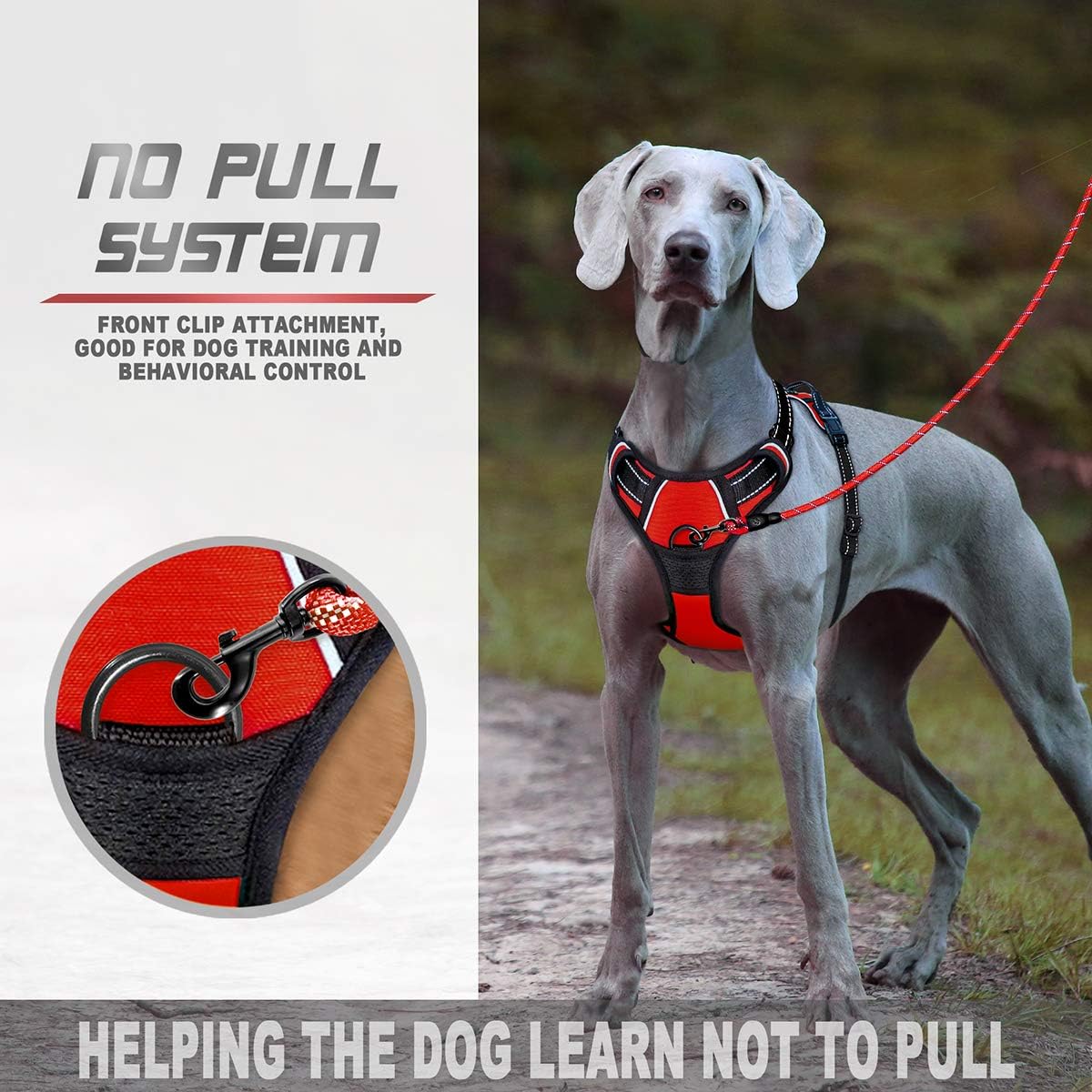 BARKBAY No Pull Dog Harness Front Clip Heavy Duty Reflective Easy Control Handle for Large Dog Walking(Red,XL) - Image 3