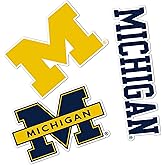 Desert Cactus University of Michigan Sticker Wolverines UM U of M Vinyl Decals Laptop Water Bottle Car Scrapbook T5 (Type 5-1)