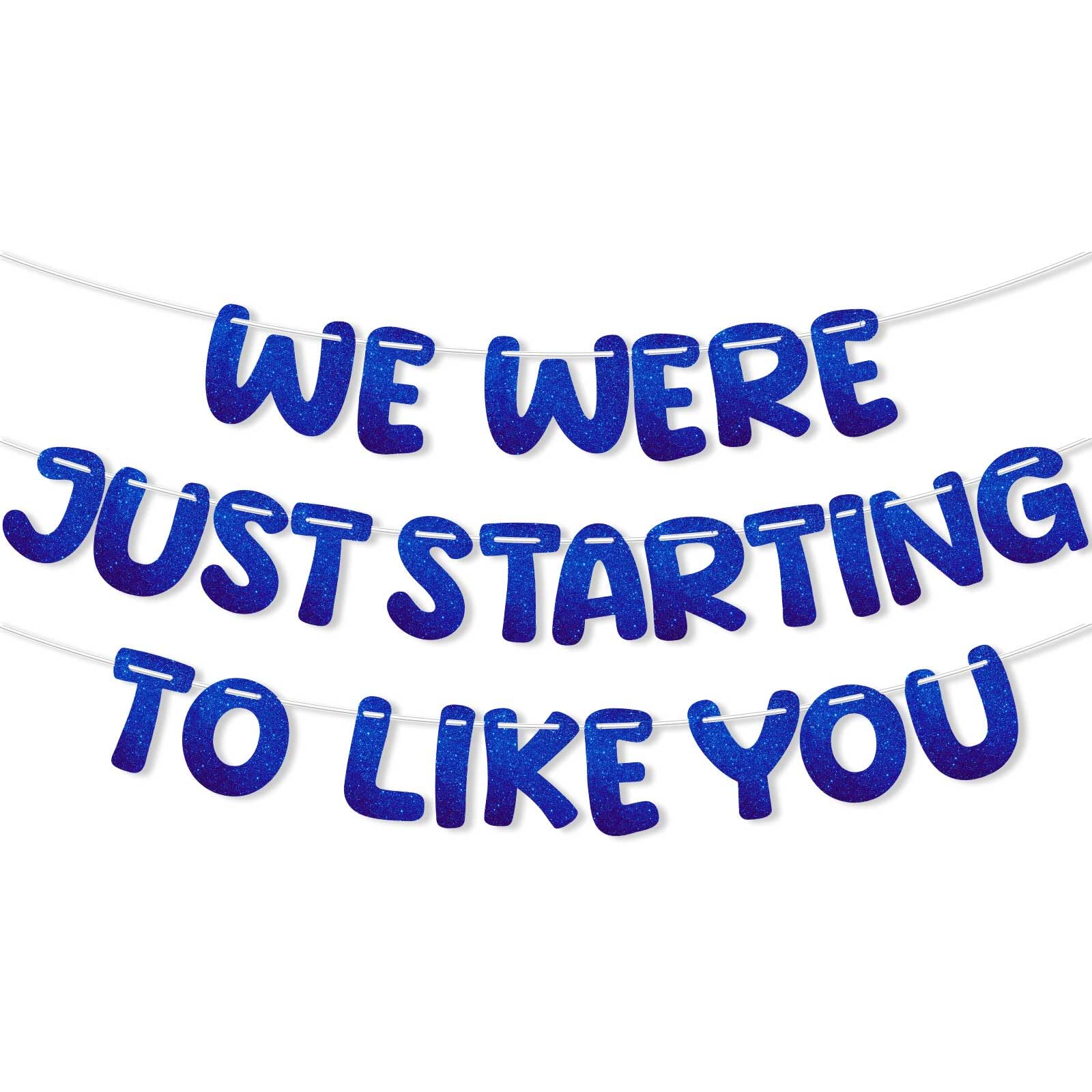 We Were Just Starting To Like You Banner, Pre Strung Going Away Party Decorations Glitter Banner Bunting for Farewell Leaving New Job Will Miss You Funny Retirement Goodbye Party Supplies (Blue)