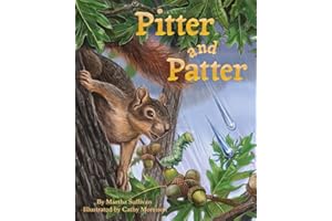 Pitter and Patter