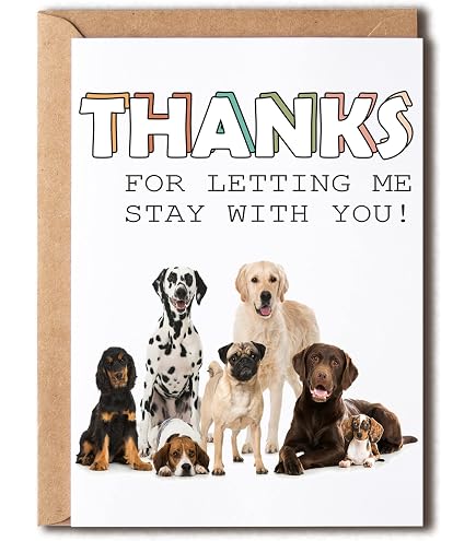 thumbnail interactive-video image 1 of Onebttl Pet Sitter Gifts, Dog Sitter Thank You Gifts, Insulated 20oz Stainless Steel Travel Tumbler With Straw And Lid, Best Pet Sitter Ever 1 of 11