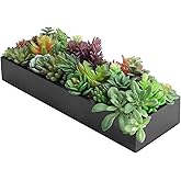 MyGift Artificial Succulent Centerpiece,15.75 Inch Faux Succulents Arrangement Plants in Sleek Black Wooden Rectangular Planter Box