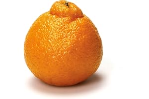 FRESH PRODUCE (BRANDS MAY VARY) Citrus Mandarin Conventional, 48 Ounce